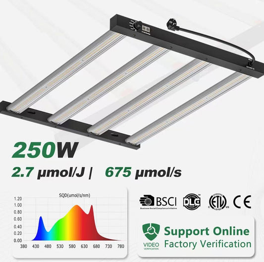 Eco LED 250W PPE2.7